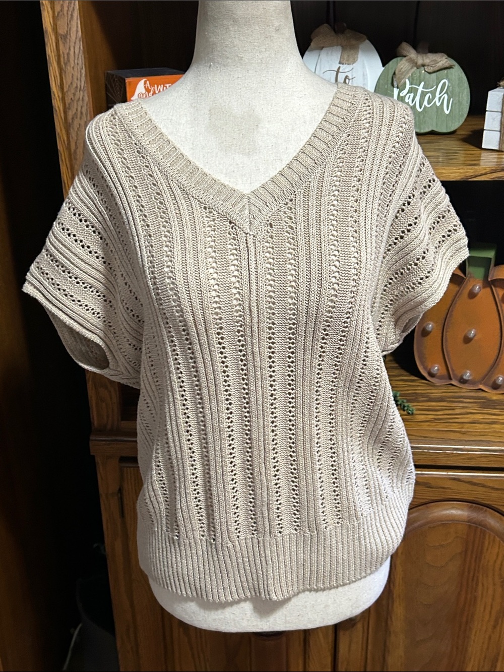 Joie Beige V-Neck Short Sleeve Open-Knit Sweater Size XS